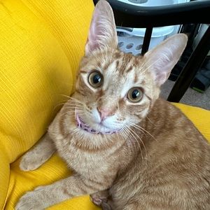 Meet your Posher, Brianna rose